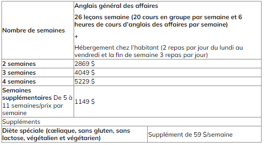 Anglais affaires Dublin Prix 2025